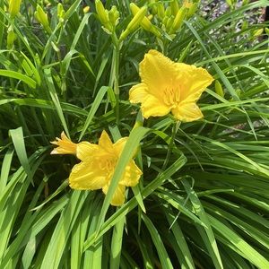 Meet your Posher, Tara